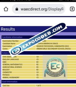Free Waec questions and answers 2024